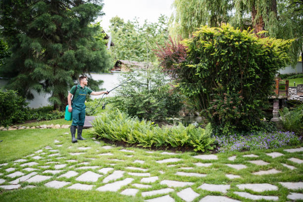 Best Best Pest Control Companies  in Grosse Pointe, MI
