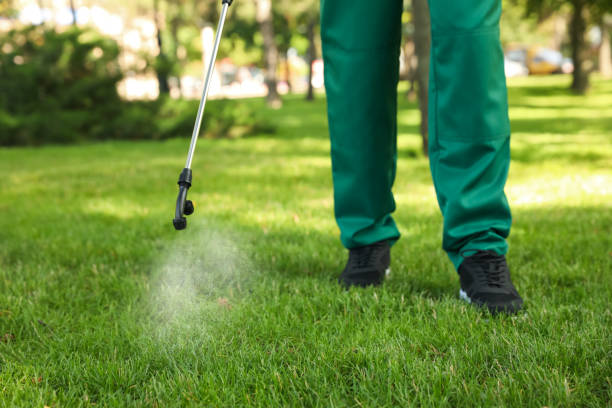 Best Wasp Removal Services  in Grosse Pointe, MI