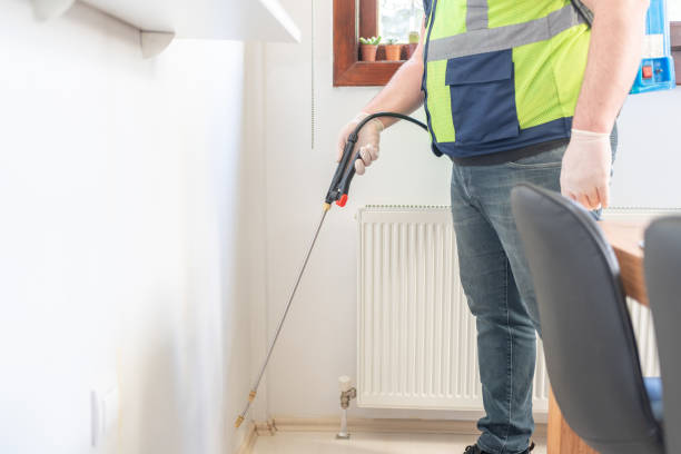 Best Wasp Removal Services  in Grosse Pointe, MI