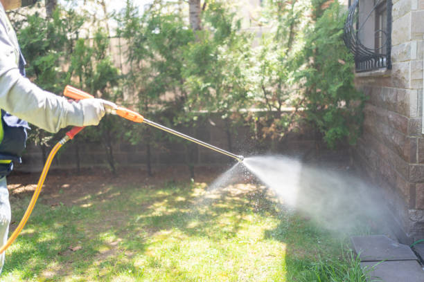 Best Rodent Control Near Me  in Grosse Pointe, MI
